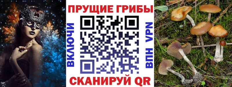 Псилоцибиновые грибы прущие грибы  Киржач 