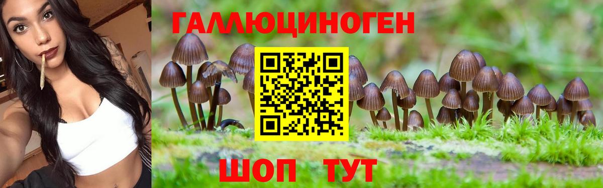 Псилоцибиновые грибы Magic Shrooms  Вход с VPN  Киржач 
